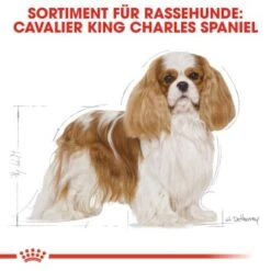 ROYAL CANIN Cavalier King Charles Adult 7,5 Kg -Heimtierbedarf Rabatte 26fb77fb49f43fdcbfc1f441b42c060f542e62b2 4d6adb9557821847a7bf764c6cfa7a53274b4578