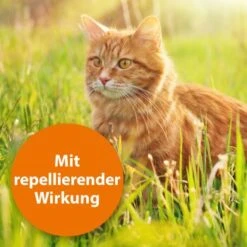 Ardap Spot-On Für Katzen S -Heimtierbedarf Rabatte 2832abadbed6ee253283ad10339d4ca7953da50e 1150895 de DE bdbc560061e2e30e7b333546e833ec7d1fb35e4fKT2bXr