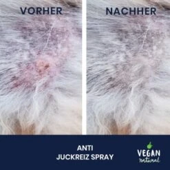 Pawlie's Juckreiz Spray Hunde & Katzen -Heimtierbedarf Rabatte 292d01b49ea4d79779b15ca044a88f467ab5a347 1626198 de DE 42bad8e963bb4df9166f24c9bca068e2532ba243EjztIg