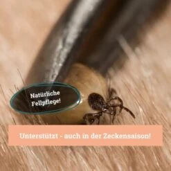 BeG Buddy Fellspray Zecke -Heimtierbedarf Rabatte 297119792bee87c54c4080010b8d6149223d300c 1457254 de DE b0426d8711049b0aafb9b17aaa93a89672536d279Kmo8x