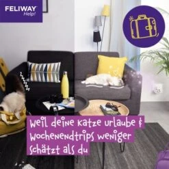 Feliway Help! 3x Nachfüllkartusche Zur Stressreduzierung -Heimtierbedarf Rabatte 29ae770ba9b7f1bf9cec9031f7a2f9aa2f9f9bf4 1380137 6
