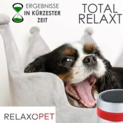 RelaxoPet PRO Entspannungs-Trainer HUND -Heimtierbedarf Rabatte 2a2890af55504b316fb288b48c33f73cd8cd6818 1315705 de DE 86a89a3dec2d79cadfd859276b25e24b347ce6a68JwiKQ