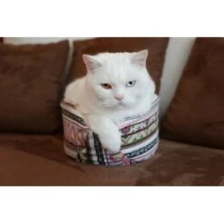 Canadian Cat Company Katzenschiff LUNA -Heimtierbedarf Rabatte 2a794931f9263820d298c92486fc08c7b5fe3a35 1412669 de DE 46780a4b5da8fe052e5be00462eb02991658c41f2ZgeMs