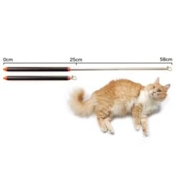 Schlitzohr Stabile Katzenangel Arnold -Heimtierbedarf Rabatte 2b03aaa8061d454c3b132f3d29075b579f022315 1484671 de DE 4db6a969e0582cf4b987acff93cb66c6c6149da6OAB1hx