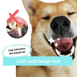 BeG Buddy Zahn Weiß Dental Spray, Zahnpflege & Maulhygiene Hund -Heimtierbedarf Rabatte 2b26d8c9897450ebcdc3208b54321074a39fd8e8 1457255 de DE d036d3de3fb2bf618dcbd8071c7342bd7ffedc2f5CGqW6