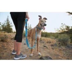 Ruffwear Web Reaction™ Halsband Blau S -Heimtierbedarf Rabatte 2cdfdccf008759cf17f48f239379359c334e9357 1651469 de DE 0072b4ff1341ecdf919c350193ff39629ad782b0mKg81g