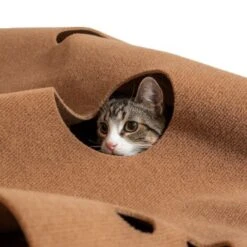 Canadian Cat Company Spielteppich Für Katzen Braun -Heimtierbedarf Rabatte 2d410486173eb6739126d1af73ad3230c308a43d 1394213 de DE 2f11fbac0571dcc5ff170aac428c7150347b9b8ccw1yKZ