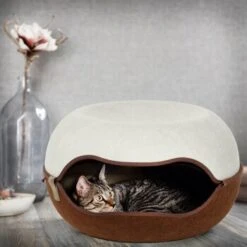 Canadian Cat Company Filz Katzennest 2.0 Weiß 17 Canadian Cat Company Filz Katzennest 2.0 Weiß -Heimtierbedarf Rabatte 2d709df44822ed1c554e77257ea4f2826b7f6ee6 1412670 de DE f4bc2f42c404e1ae32cb86346c8e995f0178b889j3OAow