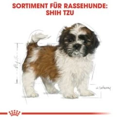 ROYAL CANIN Shih Tzu Puppy 1,5kg -Heimtierbedarf Rabatte 2dd674b0c9faf144189925427954057c94e96824 cfea993775d63322f217c5a694273fde764bdafe