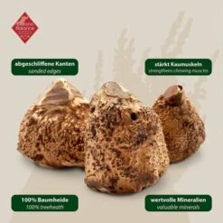 ChronoBalance Kauwurzel Baumheide (S) 2er Paket 13 ChronoBalance Kauwurzel Baumheide (S) 2er Paket -Heimtierbedarf Rabatte 2fba66df2b2671594314bc7879d4e75b1b5c4eb7 1418713 de DE 7f5c8529b0ef5815ce0e8f89d9a5ef23e03b1c21O7y7ow