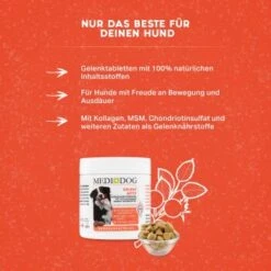 MediDog Gelenk Aktiv Tabletten -Heimtierbedarf Rabatte 3027f6efc117ea48bd3ed7820fc741377f2b9f33 1660400 de DE 429a291c7d912553ea91e08a9b8a26c9865c5c61kPI0zV
