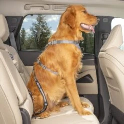 Kurgo Swivel Tether Hunde-Sicherheitsgurt -Heimtierbedarf Rabatte 307a4c5f050b6142fe4c665bdeaa3a0be0385ec3 1481164 de DE 8cf1d51712fee99749a185998fab0d1502a24f68v0gDmS