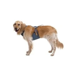 Ruffwear Auto-Sicherheitsgeschirr Load Up™ M -Heimtierbedarf Rabatte 3093b420ea874973a4896ceec07c49a8968d3fd1 1670640 de DE 10f6ab706b1f33e82246cce93c7d50d48e826c56cynWL4