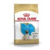 ROYAL CANIN Mops Puppy 1,5 Kg -Heimtierbedarf Rabatte 312b9d11e0d60909e02e976606d89917fb1a70e6 1082869 de DE puggy