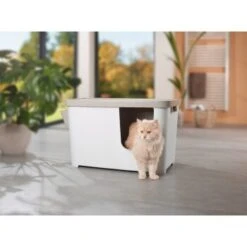 MORE FOR Katzentoilette XXL Titan -Heimtierbedarf Rabatte 331a65ecbdbda6a54304894f23caf93293414f9a 41a7dcb3b92b8da7531785b268f381c1b25bbf04