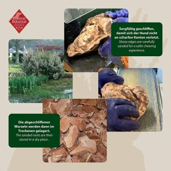 ChronoBalance Kauwurzel Baumheide (S) 2er Paket 5 ChronoBalance Kauwurzel Baumheide (S) 2er Paket – Bild 3