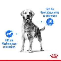 ROYAL CANIN Light Weight Care Maxi 12 Kg -Heimtierbedarf Rabatte 3420e395ded3d89391d4817244d7dc03ba33daa9 1376170 de DE aoks 4