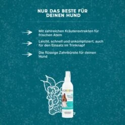 MediDog Dental Fresh & Clean -Heimtierbedarf Rabatte 343cceef613c074ed5b447a70d31269a870cf15d 1499660 de DE f2641cc7f5b00beb77fbbf61330ce24716292663yYZq7c