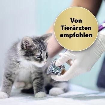 Felisept Home Comfort Set Diffusor + Flakon 45ml 4 Felisept Home Comfort Set Diffusor + Flakon 45ml – Bild 2