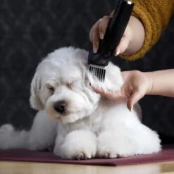 Moser Schermaschine Arco Pro -Heimtierbedarf Rabatte 365e29754c538dcc259069da0cc9793e69d0b654 8ffdd5bc19f3a136ec865d6030d040722a7ad1c3