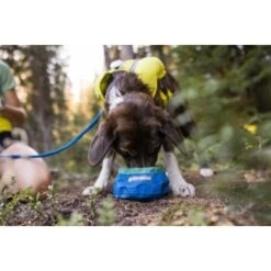 Ruffwear Trail Runner™ Napf -Heimtierbedarf Rabatte 379fe16a7a50c8e71290f739965451bab58f5404 1651571 de DE cc80a2ec211d680722d58d483cd6e35959c0ef22Kohbda