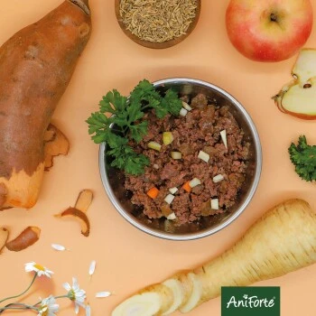 Aniforte RanchHorse Pferd Mit Süßkartoffeln 6 X 800 G 10 Aniforte RanchHorse Pferd Mit Süßkartoffeln 6 X 800 G – Bild 8