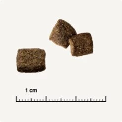 REAL NATURE WILDERNESS Adult Mixpaket Mixpaket 1, Mix-Pack -Heimtierbedarf Rabatte 38c9fddfde6e364977836a7419845bd5679c428a 1267097 de DE 6 savannah 1173938004