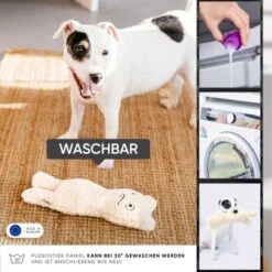 Freudentier Nachhaltiges Hundespielzeug Daniel -Heimtierbedarf Rabatte 399eb762da5db839e1d54b11a980f1adc24ffa3a 1408970 de DE 4fae29de579b316485a3de702f2c6d8ee3ac7b4f8TlZcj