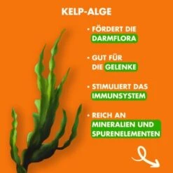 Irish Pure Trockenfutter: Irisches Freiland-Huhn Mit Gemüse & Kelp-Alge, Puppy 1,5 Kg -Heimtierbedarf Rabatte 3a8b16bee37c2618d3373fb52219bedb775214d7 1472290 de DE 263f707e10d7aabfff31e248a45885c71d456fb6Hu58bi