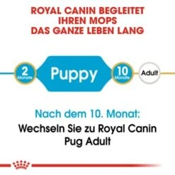 ROYAL CANIN Mops Puppy 1,5 Kg -Heimtierbedarf Rabatte 3af85b5d68e2a2d838baf46d348bcc6f5c8cb3c0 9dd5ef32b5081e96ebcb60ff0f9e0f454f14f3ae