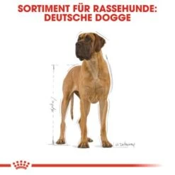 ROYAL CANIN Deutsche Dogge Adult 12 Kg -Heimtierbedarf Rabatte 3b2e2b76f77a85e7a2e2e3760f4acf201582be79 91fbd3cfc727b41692ded4aa1c29adb0f8bf3146