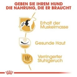 ROYAL CANIN Französische Bulldogge Adult 9 Kg -Heimtierbedarf Rabatte 3bd4ba1c987a0bad2d63e017fefb9a6a0e04ff1d f46cfcd28b4bf79ae86735da4bc649ba59405c77