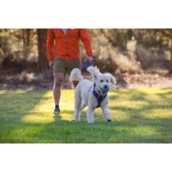 Ruffwear Huckama™ Spielzeug Violett -Heimtierbedarf Rabatte 3c9858f23e189df169fef8e6b079b9b80afe5185 1639706 de DE 22affde3e5114f0c2b5db19a77f0508968440a74megCgS