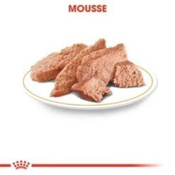 ROYAL CANIN Yorkshire Terrier Adult Mousse 12x85g -Heimtierbedarf Rabatte 3dc1d02b6f98bc7b994d95fac6cba48ad259f649 1239182 de DE rc 1