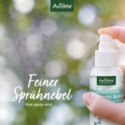 Aniforte Pflegespray Kokos Fellharmonie 200 Ml -Heimtierbedarf Rabatte 3e1dc7bd1be23f0d63ccf848ed976a4cc3459493 1419045 de DE 1b0a5ad21de98dedcc165a8204340b363ad73228Ao8pTA