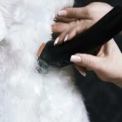 Moser Schermaschine Arco Pro -Heimtierbedarf Rabatte 3e5298b3656d28f017bce510a0e1de7f397c869d 116095204b214f2dcd4eabf0f13676dba14e1568