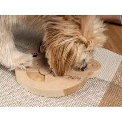 TrendPet Intelligenzspielzeug Intelli -Heimtierbedarf Rabatte 3eb4d41034c0f3313929136157c4052ccd4ea926 1260161 de DE d146e7e756f1415d035fb0f48553c56a33aee61amIbGAB