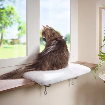 AniOne Fensterliegeplatz 5 AniOne Fensterliegeplatz – Bild 3