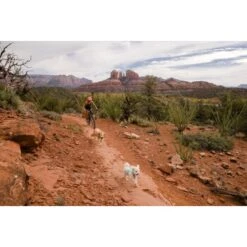 Ruffwear Swamp Cooler Zip™ Kühlweste Für Hunde Pink XL 21 Ruffwear Swamp Cooler Zip™ Kühlweste Für Hunde Pink XL -Heimtierbedarf Rabatte 3f53abbb449b533ae19bdcc983422a810c1a6523 1639652 de DE 69e04235fc73e7ad617b0a7c576e77147e0d0f9aiqnSME