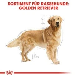 ROYAL CANIN Golden Retriever Adult 12 Kg -Heimtierbedarf Rabatte 3f6d567572cfb1e47a6150727d5c2bca6786edbc 449b3ff968c54d107edb2d725c3518ba098a60bf
