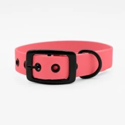 THE DOG IDEA Biothane Halsband Coral Schwarz S -Heimtierbedarf Rabatte 3fa764ed11770f5441df17db28eb054be4c60c1a 1679192 de DE d216a06a81c92aca38c61d46cb91e0f892cbd4ceiEVE4n
