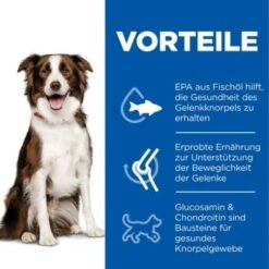 Hill's Science Plan Healthy Mobility Medium Breed Adult 1+ Mit Huhn 14 Kg -Heimtierbedarf Rabatte 3fcaebf69525b009c44756b18933a850b2f3883d 52742026138 4