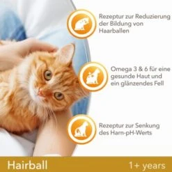 IAMS Vitality Adult Hairball Huhn 10 Kg 11 IAMS Vitality Adult Hairball Huhn 10 Kg -Heimtierbedarf Rabatte 401ab652809dfedce7c59c99ad81fce5347594eb 334b64ba35870c05d1378b1c3128cc83d6f79ac9