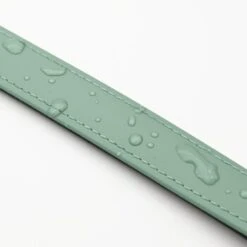 THE DOG IDEA Biothane Halsband Sage S -Heimtierbedarf Rabatte 40e4391cc0734ccbf14e51ec3a7d5f37f0783760 1674165 de DE cb3dd5b17ddd877c6ac1e75a3b6a793fa5187f4civjzmh