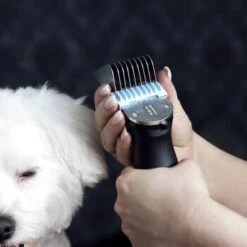 Moser Schermaschine Arco Pro -Heimtierbedarf Rabatte 40ef7305d02adfa1e7f02419155d4bf8a7f8bc5f ded03a7382d6d951ac273b80f73350fef15f6275