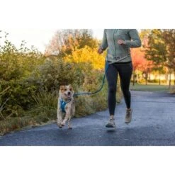 Ruffwear Hi & Light™ Geschirr Blau XXXS -Heimtierbedarf Rabatte 41aa9c4a00fe4c7bd677e6ccec31c531dc5ce87b 1453085 de DE 6db29b23f729dce2900a7bb6a5d18331bf1f96e6Lf19bE