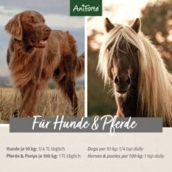 Aniforte Bio Ägyptisches Schwarzkümmelöl 500ml 8 Aniforte Bio Ägyptisches Schwarzkümmelöl 500ml -Heimtierbedarf Rabatte 4258016ff96e6eaff4a590bc2850e571352c6a4d 1480469 de DE 17f309b4e6d8fb85e8cb8f3f497f25cae50c097f6a4PXZ