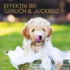 Pawlie's Welpenshampoo 13 Pawlie's Welpenshampoo -Heimtierbedarf Rabatte 42f9c58257fb2002e5c33c2d81bd829c9adeb1cc 1626204 de DE 8b17d3990cf88ea437c76c60b6848183bc9636a5a44ihJ