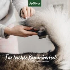 Aniforte Pflegespray Kokos Fellharmonie 200 Ml -Heimtierbedarf Rabatte 439a781d2e4112eccb3d9c060e6b47df8bacbc70 1419045 de DE 0e8e4b463cb1cda232cef1a2b76d36ca72baeaa1SxHMNi