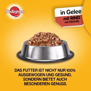 Pedigree Adult Plus 12x800g Rind Mit Fischöl, In Gelee 6 Pedigree Adult Plus 12x800g Rind Mit Fischöl, In Gelee – Bild 4
